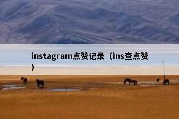 instagram点赞记录（ins查点赞） 第1张