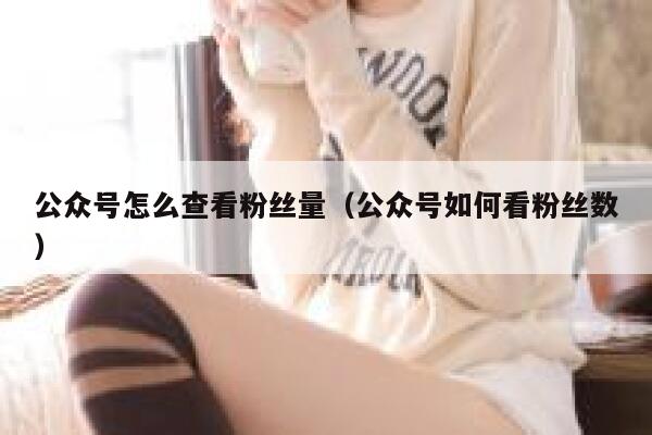 公众号怎么查看粉丝量（公众号如何看粉丝数） 第1张