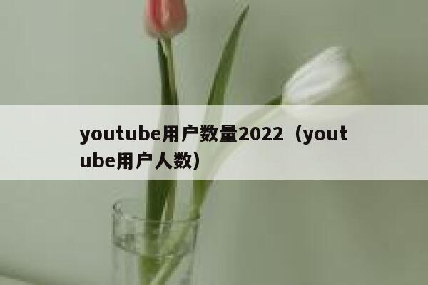 youtube用户数量2022（youtube用户人数） 第1张
