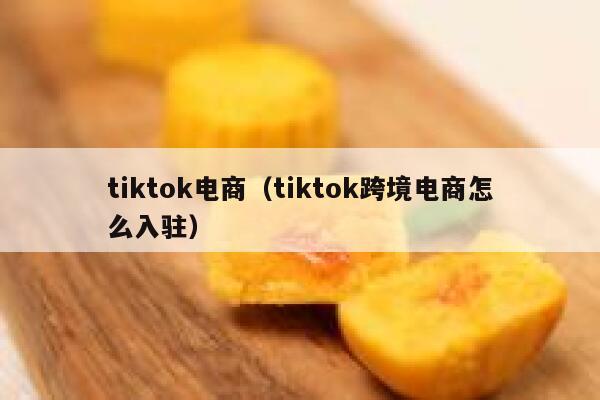 tiktok电商（tiktok跨境电商怎么入驻） 第1张