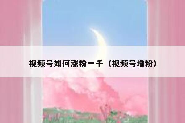视频号如何涨粉一千（视频号增粉） 第1张