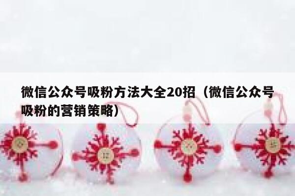 微信公众号吸粉方法大全20招（微信公众号吸粉的营销策略） 第1张