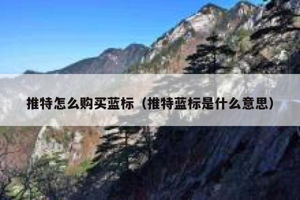 推特怎么购买蓝标（推特蓝标是什么意思） 第1张