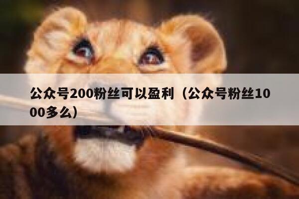公众号200粉丝可以盈利（公众号粉丝1000多么） 第1张