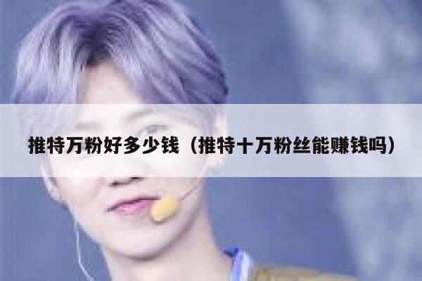 推特万粉好多少钱（推特十万粉丝能赚钱吗） 第1张