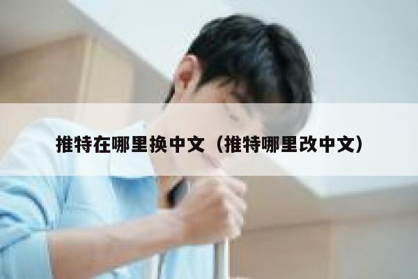 推特在哪里换中文（推特哪里改中文） 第1张