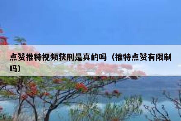 点赞推特视频获刑是真的吗（推特点赞有限制吗） 第1张