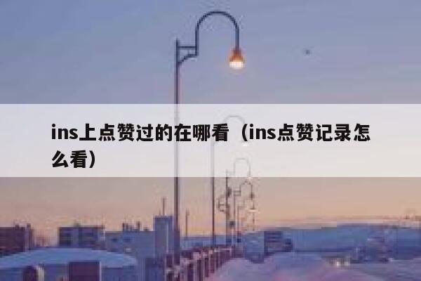 ins上点赞过的在哪看（ins点赞记录怎么看） 第1张