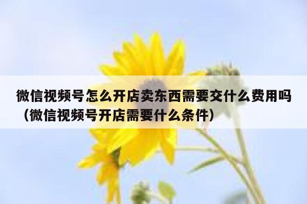 微信视频号怎么开店卖东西需要交什么费用吗（微信视频号开店需要什么条件） 第1张