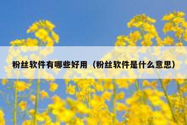 粉丝软件有哪些好用（粉丝软件是什么意思） 第1张