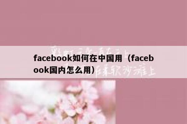 facebook如何在中国用（facebook国内怎么用） 第1张
