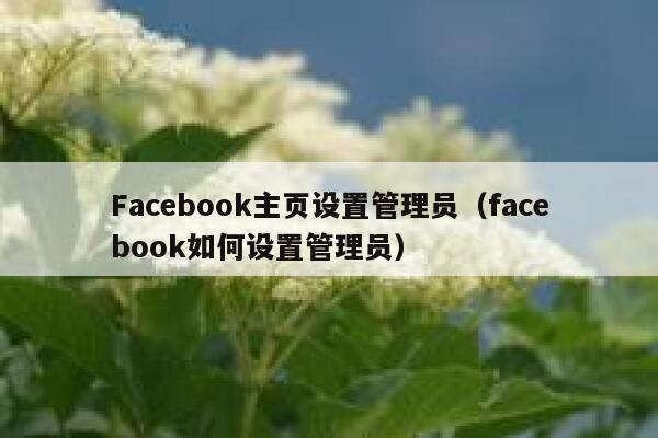 Facebook主页设置管理员（facebook如何设置管理员） 第1张