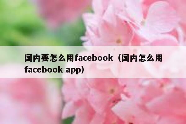 国内要怎么用facebook（国内怎么用facebook app） 第1张