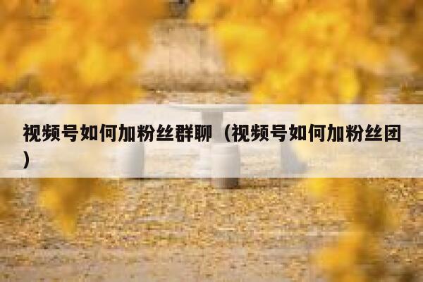 视频号如何加粉丝群聊（视频号如何加粉丝团） 第1张