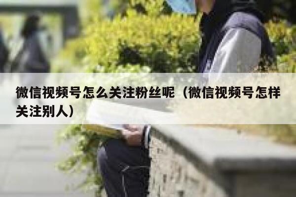 微信视频号怎么关注粉丝呢（微信视频号怎样关注别人） 第1张
