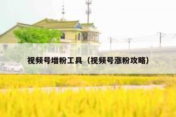 视频号增粉工具（视频号涨粉攻略） 第1张