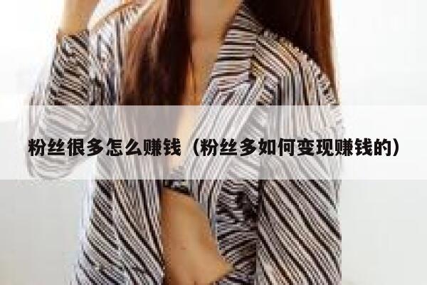 粉丝很多怎么赚钱（粉丝多如何变现赚钱的） 第1张