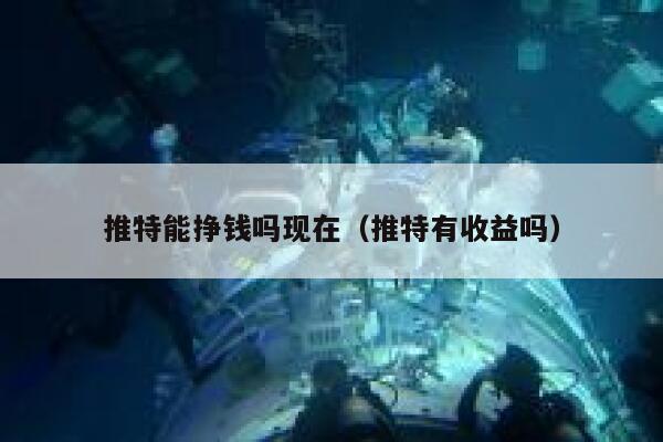 推特能挣钱吗现在（推特有收益吗） 第1张