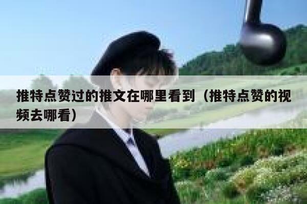 推特点赞过的推文在哪里看到（推特点赞的视频去哪看） 第1张