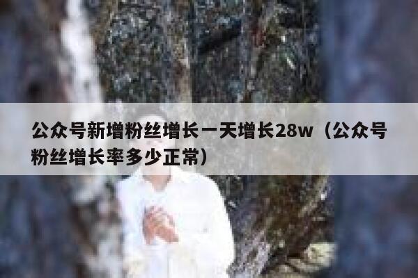 公众号新增粉丝增长一天增长28w（公众号粉丝增长率多少正常） 第1张
