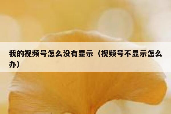 我的视频号怎么没有显示（视频号不显示怎么办） 第1张