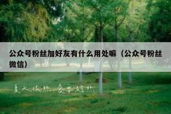 公众号粉丝加好友有什么用处嘛（公众号粉丝微信） 第1张