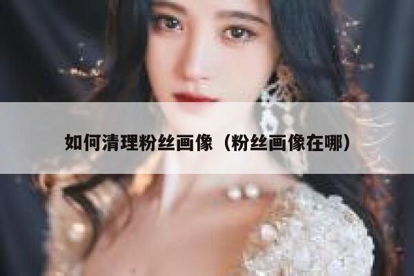 如何清理粉丝画像（粉丝画像在哪） 第1张