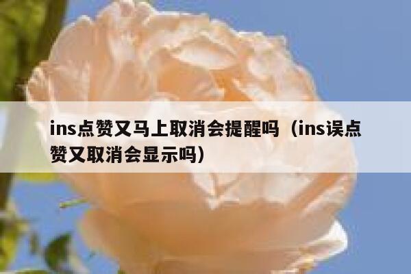 ins点赞又马上取消会提醒吗（ins误点赞又取消会显示吗） 第1张