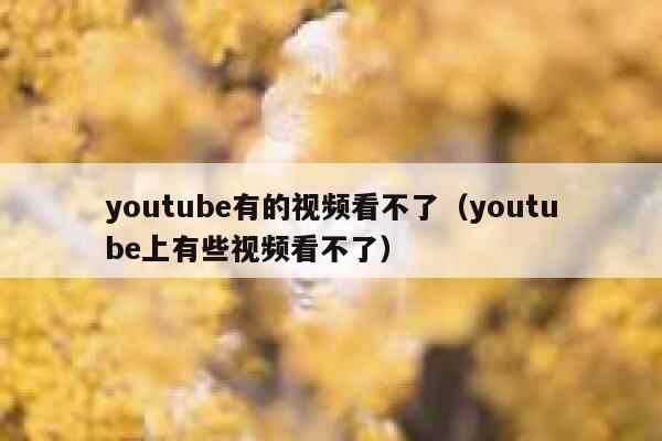 youtube有的视频看不了（youtube上有些视频看不了） 第1张