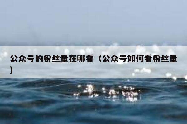 公众号的粉丝量在哪看（公众号如何看粉丝量） 第1张