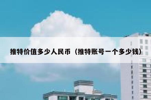 推特价值多少人民币（推特账号一个多少钱） 第1张