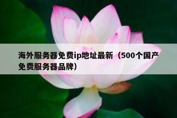 海外服务器免费ip地址最新（500个国产免费服务器品牌） 第1张