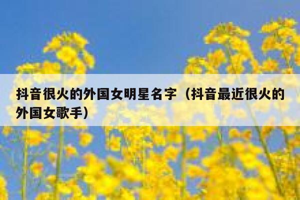 抖音很火的外国女明星名字（抖音最近很火的外国女歌手） 第1张