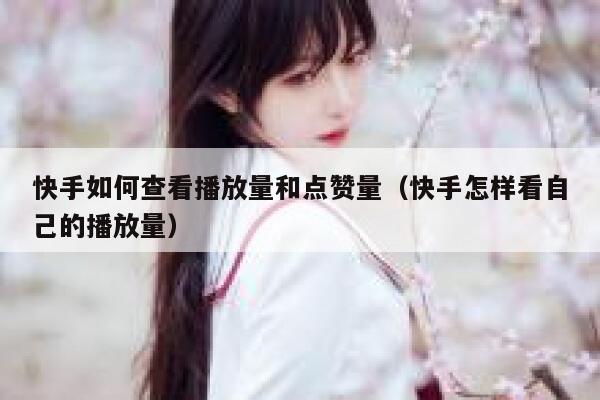 快手如何查看播放量和点赞量（快手怎样看自己的播放量） 第1张