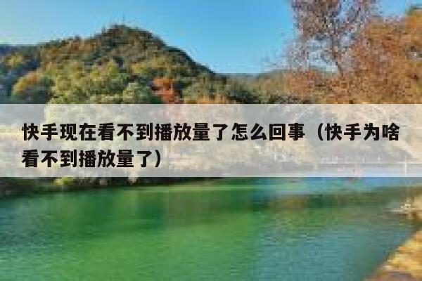 快手现在看不到播放量了怎么回事（快手为啥看不到播放量了） 第1张