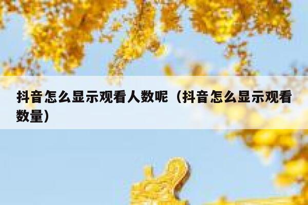 抖音怎么显示观看人数呢（抖音怎么显示观看数量） 第1张