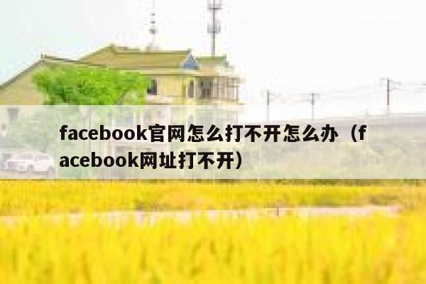 facebook官网怎么打不开怎么办（facebook网址打不开） 第1张