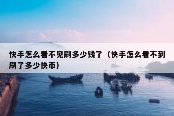 快手怎么看不见刷多少钱了（快手怎么看不到刷了多少快币） 第1张