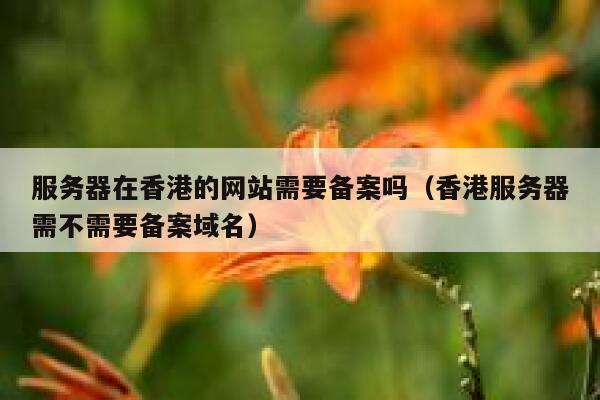 服务器在香港的网站需要备案吗（香港服务器需不需要备案域名） 第1张