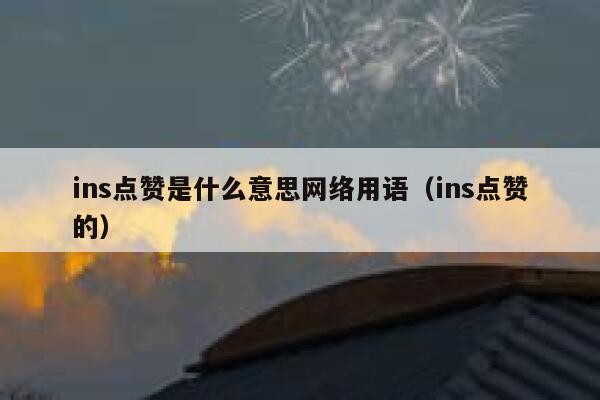 ins点赞是什么意思网络用语（ins点赞的） 第1张