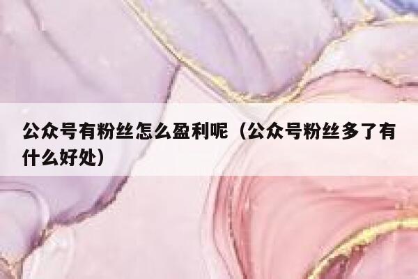 公众号有粉丝怎么盈利呢（公众号粉丝多了有什么好处） 第1张