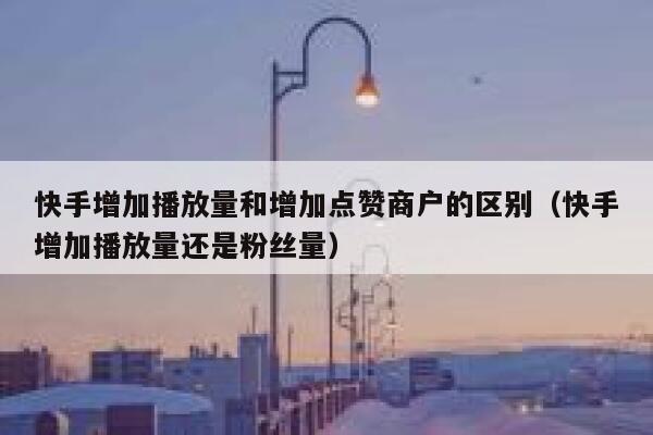 快手增加播放量和增加点赞商户的区别（快手增加播放量还是粉丝量） 第1张