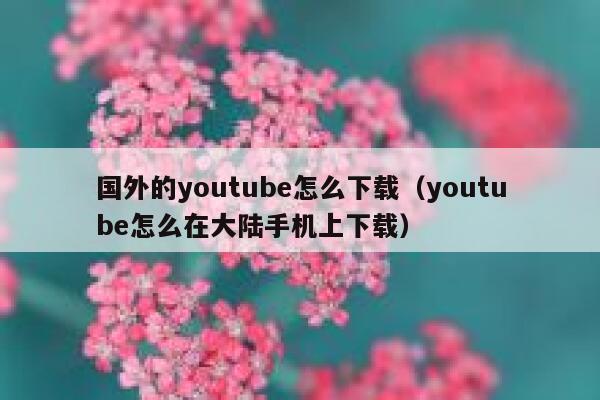 国外的youtube怎么下载（youtube怎么在大陆手机上下载） 第1张
