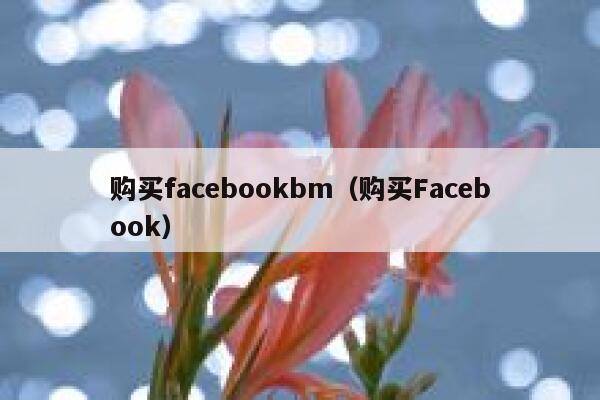 购买facebookbm（购买Facebook） 第1张