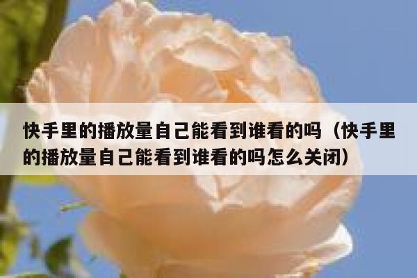 快手里的播放量自己能看到谁看的吗（快手里的播放量自己能看到谁看的吗怎么关闭） 第1张