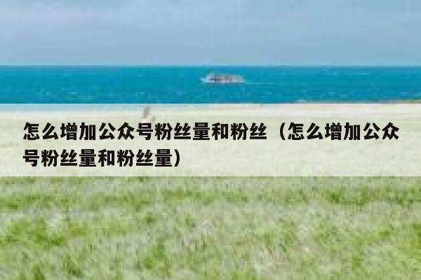 怎么增加公众号粉丝量和粉丝（怎么增加公众号粉丝量和粉丝量） 第1张