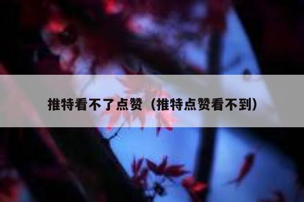 推特看不了点赞（推特点赞看不到） 第1张