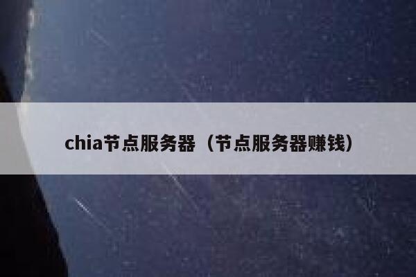 chia节点服务器（节点服务器赚钱） 第1张