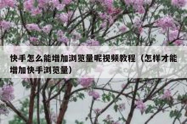 快手怎么能增加浏览量呢视频教程（怎样才能增加快手浏览量） 第1张