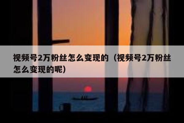 视频号2万粉丝怎么变现的（视频号2万粉丝怎么变现的呢） 第1张